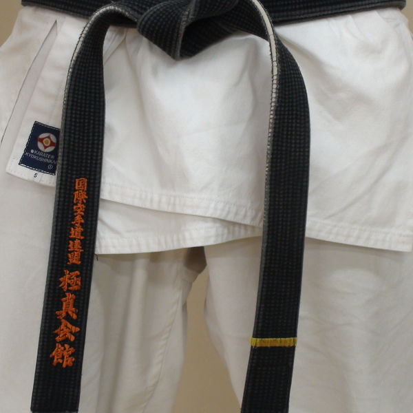 岸根公園駅周辺で子供空手なら空手教室・国際空手道連盟極真会館 横浜東支部 白楽道場をご利用ください 